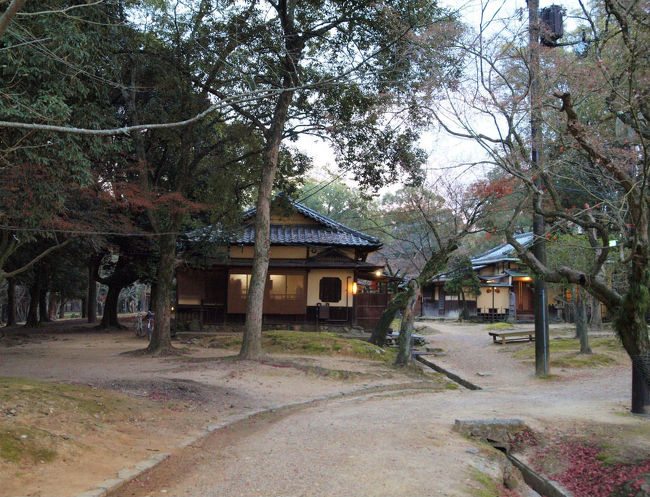 灯りが　ポツリ　ポツリと