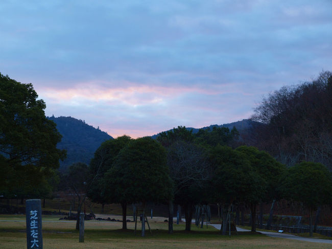 明るみ始めました。