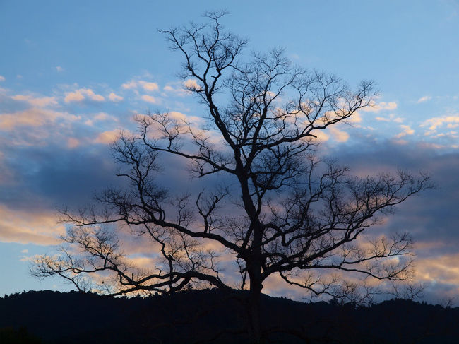 道を越え<br /><br />　飛火野へ<br /><br />美しい朝焼け、、