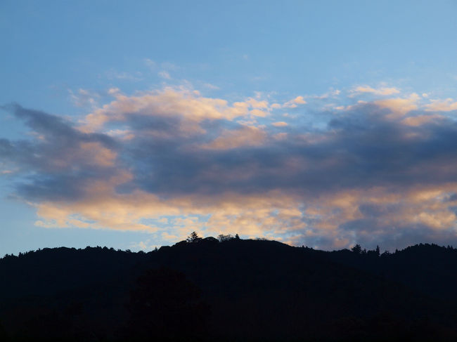 コメントする言葉なし