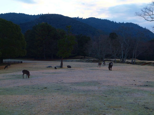 全天　雲に覆われて、、あきらめ<br /><br />　　　帰途に