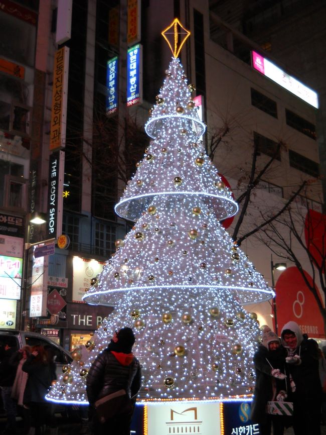 明洞中のクリスマスツリー。<br /><br />写真を撮っている人も多い。