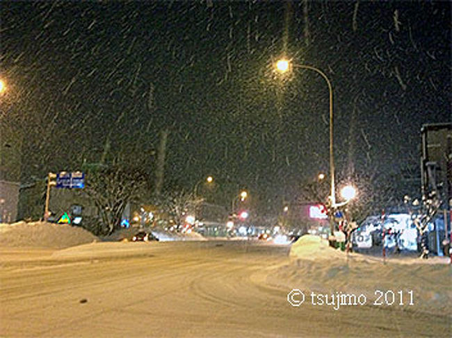 青森の今夜は雪が降っています。<br />日頃、このような雪景色が珍しい私にとっては、気分がワクワクします。
