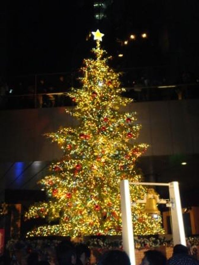銀座うかい亭クリスマスディナー 汐留イルミネーション 銀座 有楽町 日比谷 東京 の旅行記 ブログ By Kotaroさん フォートラベル
