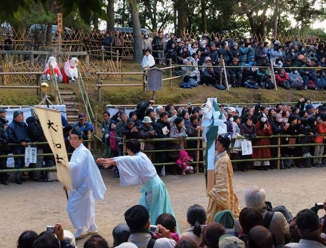 大和士（ヤマトザムライ）<br /><br />　幟持ちに　なつやら用事があるように　慌てているそぶり