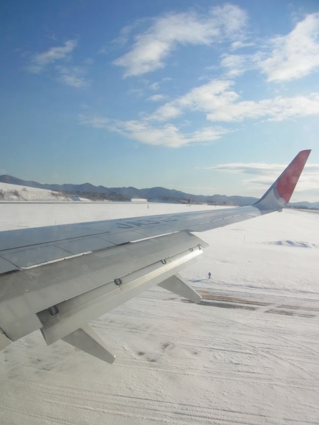 特に何のトラブルも無く無事到着。<br /><br /><br />機内アナウンスによると、<br /><br />外気温は・・・<br /><br /><br />　　マ、マイナス11℃ !?<br /><br /><br />後で知ったのですが、<br />今期一番の寒さだったそーです(-o-;