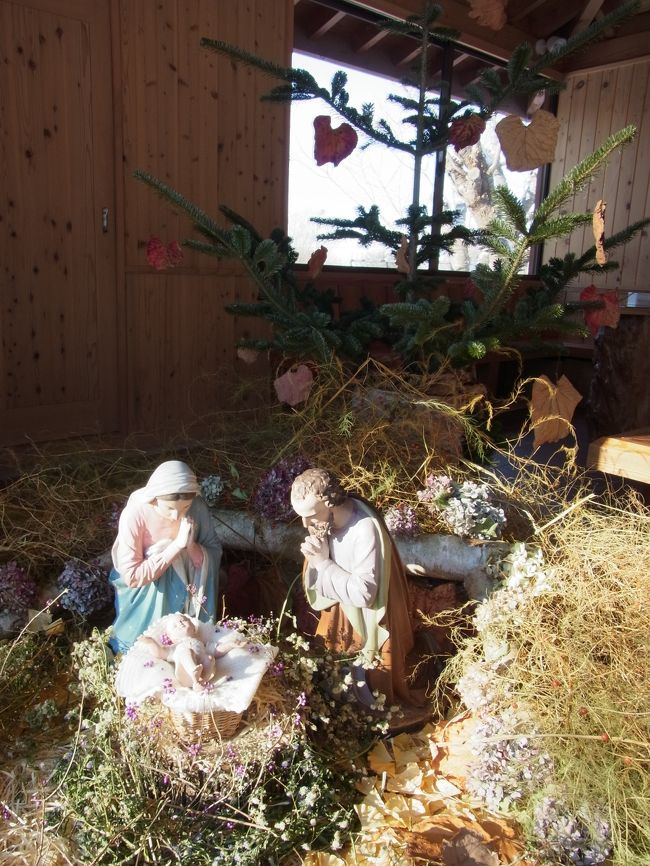 敷地に入って左手に、誰も入ってこない休憩所があるのですが<br />そこにひっそりとクリスマス・クリブが飾られていました。<br />他の教会にも飾ってありましたが<br />ここのが一番リアルで、馬小屋の雰囲気が良く出てました。