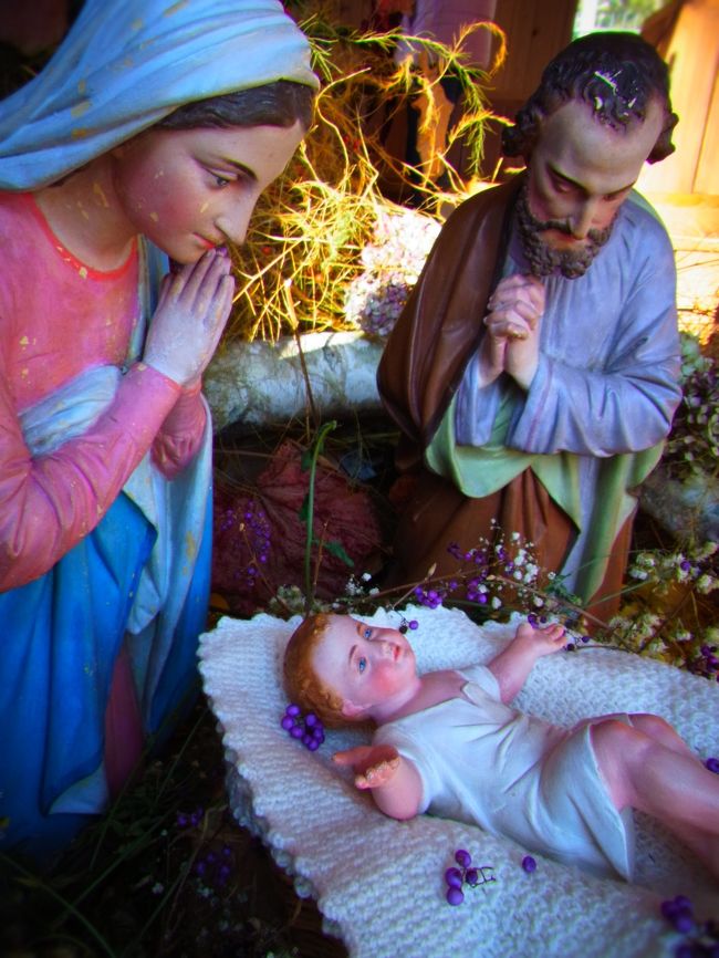 とっても生き生きとした人形で<br />周りの飾りつけの雰囲気も良くて<br />とっても感動しました。<br /><br />幼稚園のクリスマス会で降誕劇をしたのですが<br />その時にヨセフ役をした事を<br />懐かしく思い出しました。