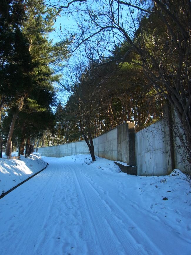 一番上のレンガ造りの建物の前まで行けるはずなのに<br />そこまでの階段が閉鎖されていてびっくり！！<br />タクシーの運転手さんに後から聞いた話だと<br />雪で転んで怪我をされた方がいたそうで<br />それ以来冬期は閉鎖されているそうな・・・。<br />只でさえ見る所があまりないので<br />上に行けなければ、ここに来る意味はありません。<br />冬に行かれる方は、それを承知の上での訪問が吉。<br />タクシーで行かれる方は<br />待機してもらった方が良さそうです。<br /><br />そんなんで時間が余ってしまったので<br />裏手にある畑に行ってみました。<br />左手の坂を上がっていきます。<br />右に見えるのが修道院の壁。<br />表現が悪いけど、まるで刑務所のようですね。