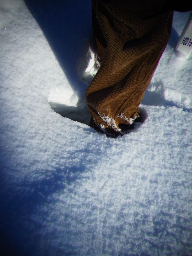 雪は結構積もっていて<br />油断するとズッポリ埋まります。<br /><br /><br />この後タクシーで空港まで戻り<br />大沼公園までシャトルバスで向かいます。<br />お客さんは我々２名だけ(^^;<br />ちなみに運賃は1200円。<br />バイパスを通らずに赤松街道を行くので<br />結構時間が掛かりました。