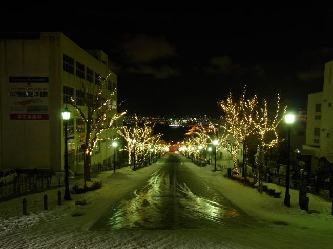 建物はいつもライトアップされていますが<br />八幡坂などのイルミネーションは冬期限定なんですよ〜。