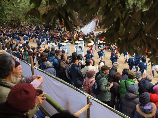 ご覧のとおり　観客も夢中