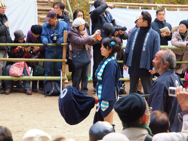 リボンをつけて　凛々しい姿<br /><br />　髭のおじさんも威厳があり