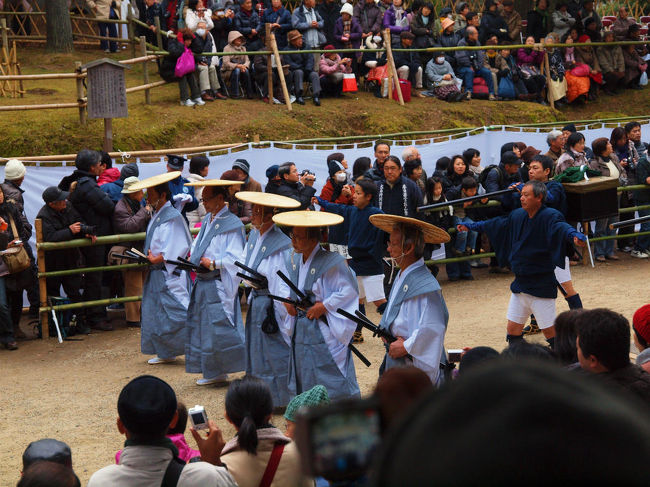 揃って<br /><br />　後ろをゆく　奴