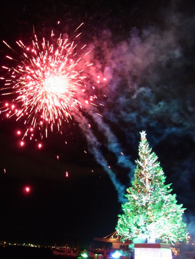 クリスマスファンタジーを見るのは<br />今回で3回目ですが<br />花火は今回が一番しょぼかったかも・・・。<br />やっぱり不景気なんですかね。<br />お客さんも少なかったです。