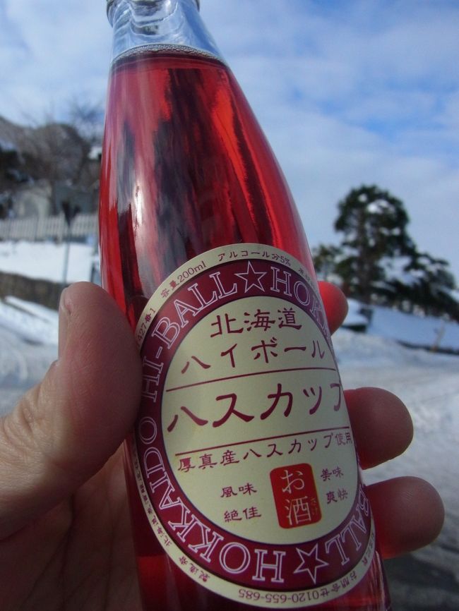 ロープウェイのチケットを買ったら<br />売店の100円分の割引券を頂いたので<br />ビールとハイボールを購入。<br />合せて約500円にところ、約400円で買えました♪