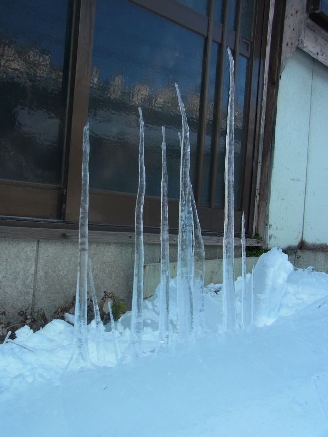 高龍寺付近で見つけた氷筍（ひょうじゅん）。<br />北国の方にとってはあまり珍しく無いのかも知れませんが<br />私は生まれて初めて見たので<br />結構興奮してしまいました（笑）<br />いったい何メートルまで育つんだろう・・・。