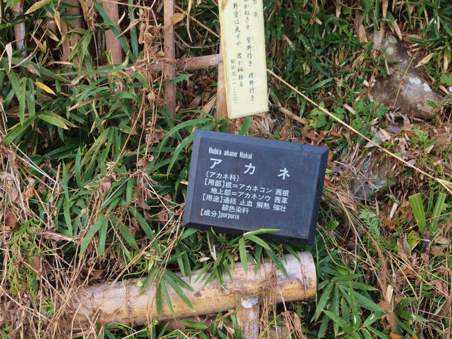 現在もその跡を残す　薬草の立札<br /><br />万葉の句碑も<br /><br />あかねさす　むらさきのゆき　しまのゆき。。。