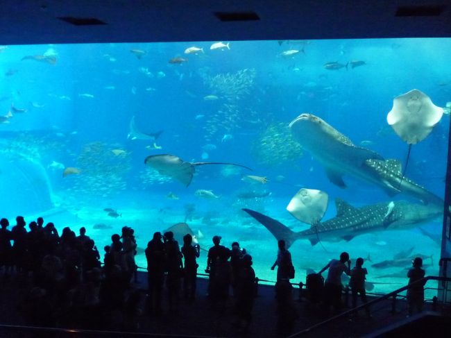 美ら海水族館のメイン水槽「黒潮の旅」の迫力はすごいです！！！<br /><br />大きなジンベイザメが私たちを迎えてくれます。<br /><br />まるで海中を魚たちと一緒に泳いでいるみたい〜！！<br /><br />感無量です。