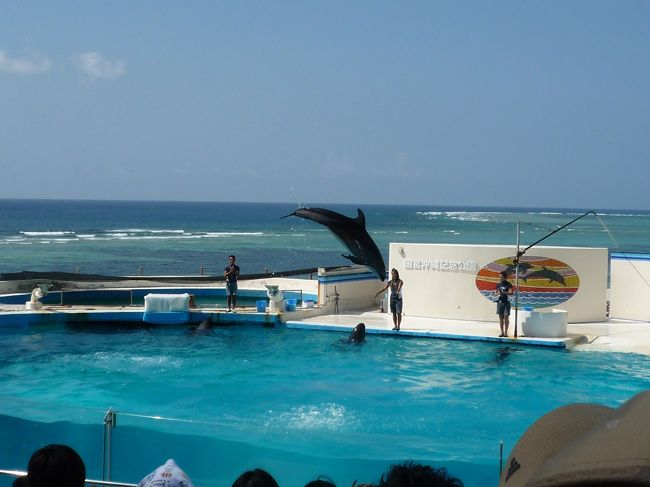 屋外にはイルカショーを観覧できるスペースがあります★<br /><br />裏側の海と一体化したような作りのショーケースは美ら海水族館ならではですね！<br /><br />イルカたちのスプラッシュを浴びて、暑くなったからだをクールダウン出来ました★