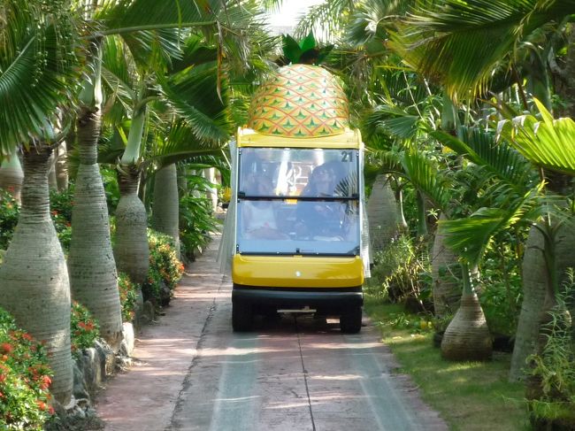 続いて、名護パイナップルパークにやってきました！<br />http://www.nagopain.com/index.html<br /><br /><br />館内は、まずパイナップル畑の見学からはじまります！<br />「パイナップル号」という開放的な車でぐるっと巡ります。<br />