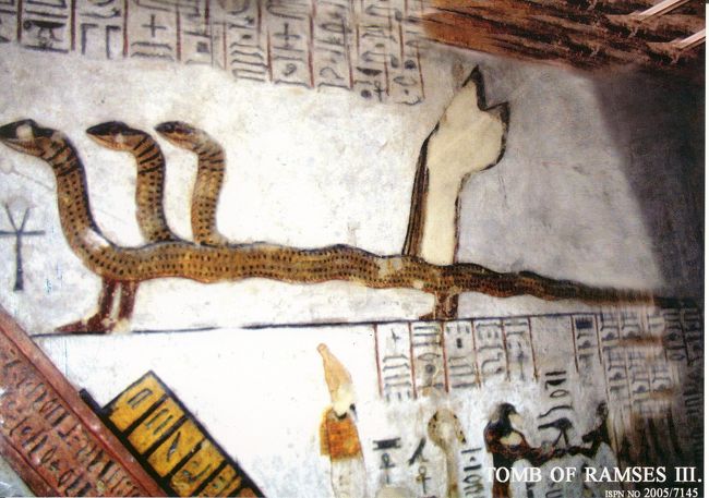3番目　Tomb　of　Ramses　?(長い通路を経て右側へ曲がり又左へ戻る。石棺は破損し崩れている。壁画はとても美しいが全面ガラス?のカバーがされている。)
