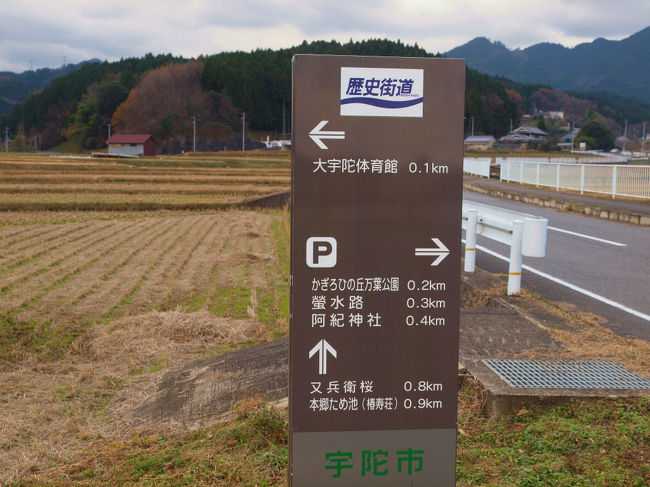 次は　思い出の　かぎろひの丘へ