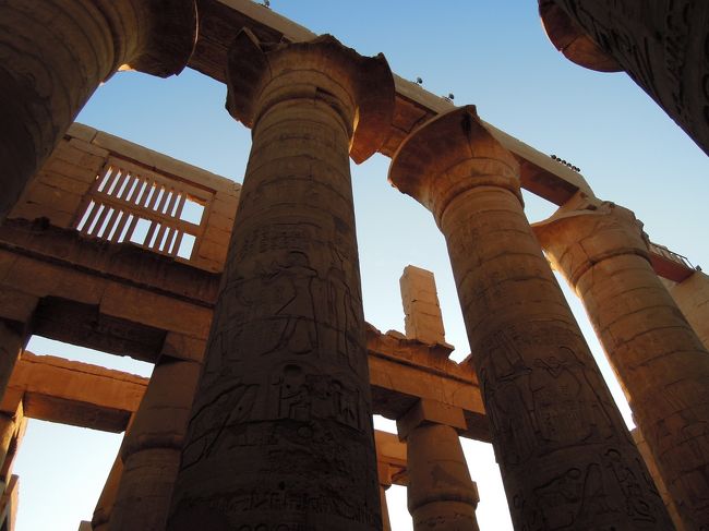 中央通路の両側12本は21mの開花パピルス柱、その他は15mの閉花パピルス柱