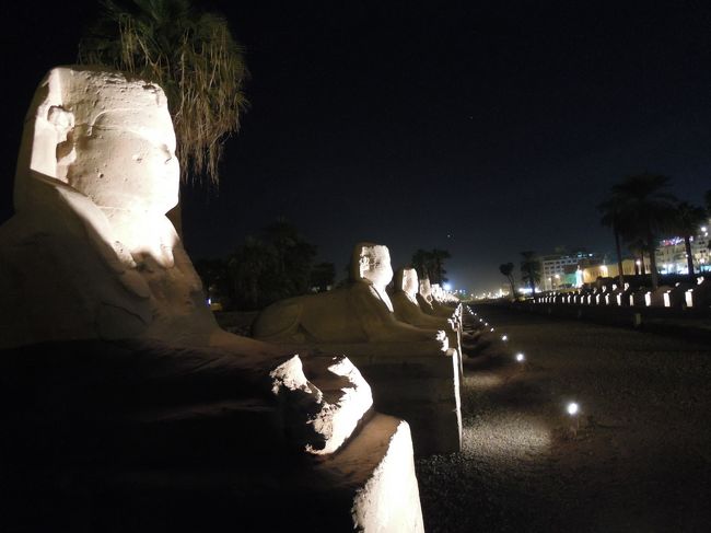 入口スフィンクスの参道