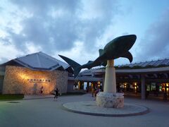 沖縄で人気の観光スポット、沖縄美ら海水族館へ。  

美ら海水族館は、昭和５０年に開催された沖縄国際海洋博覧会にて海洋生物園として出展され、博覧会跡地に平成５４年に開園、平成１４年に新館が会館して今に至っています。 

ちょうど１８：００からのオキちゃん劇場に間に合いました。