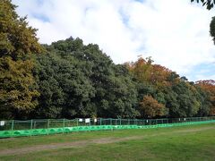 現在の繼體天皇陵は、考古学的には別人の墓である可能性が非常に高いそうです。 

真の継体天皇の御陵と見られているのは、北西の方角にある今城塚古墳です。 

帰りの飛行機の時間までまだ余裕があったので、徒歩で向かいました。 

こちらは宮内庁の管理ではないので、かなり荒れています。 

どちらが本物かという話には、私はあまり意味がないような気がします。 

「そっちは偽物こっちが本物」と声を大にして主張する学者に限って、本物にも偽物にも手を合わせようとはしないものですから。 

歴代の皇族方や国民が手を合わせる所に、御霊は宿られるのだと思います。