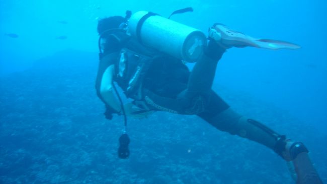 気を取り直して海へ