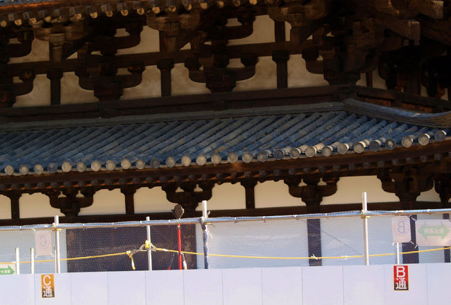 処層はもう囲まれて見る事はできません、