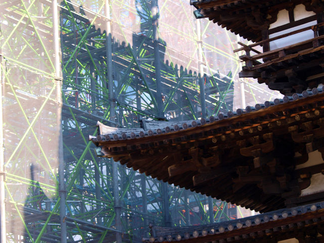 この姿も間もなく見られなくなります。