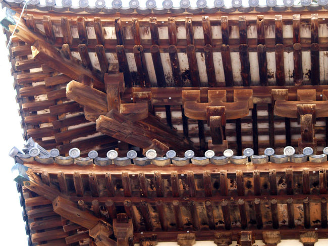 長い時間　薬師寺さんを立ち去ることができませんでしたm。