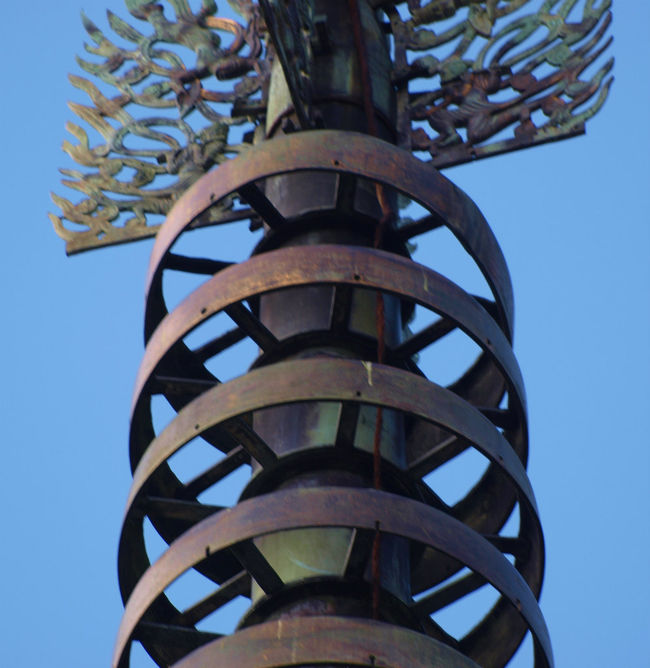 望遠で　精一杯　写して。