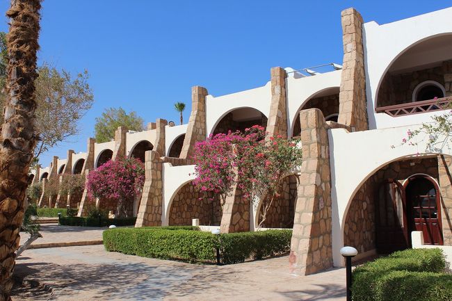 外観は悪くないんですが。