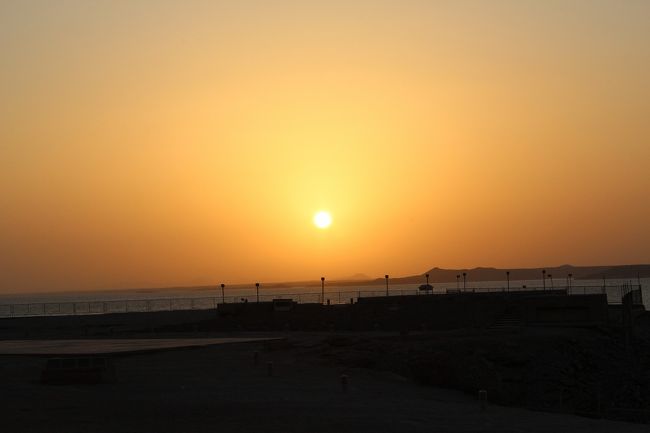 最後にもう一枚。