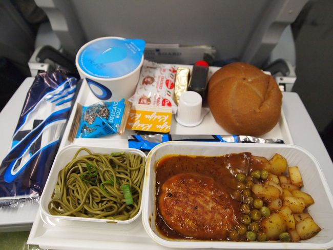 機内食今回はお肉に。<br />カレー味の煮込みハンバーグっぽい感じ。<br />それにやっぱり茶そば、合わないっすけど・・・。<br />これで７日間の旅は終りです。<br />長い旅行記にお付き合いいただきありがとうございました。<br />前回と今回分の写真集を作ってみましたのでどうぞ<br />http://www.vivipri.co.jp/s_book4/open.html#cid=345465&amp;open=1&amp;list=&amp;cate=&amp;size=&amp;page=