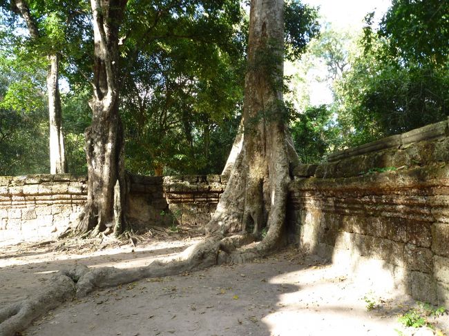 周壁も押しつぶしてます