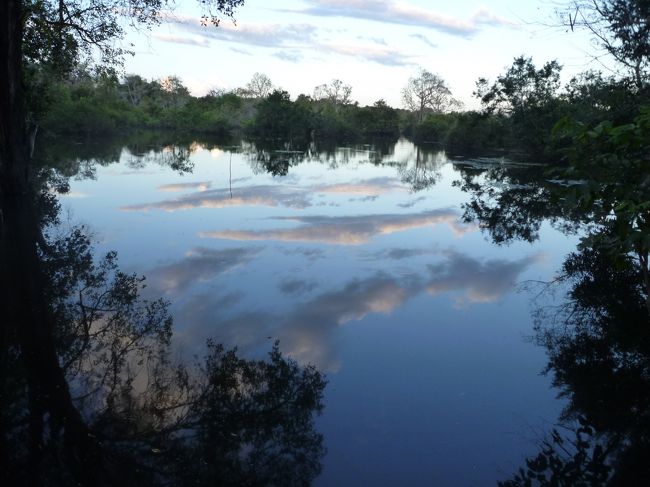 今日の観光終了です