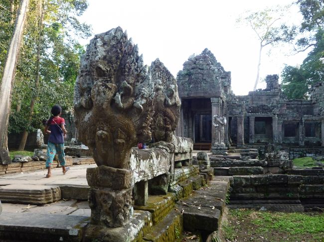 ガルーダとナーガ<br />