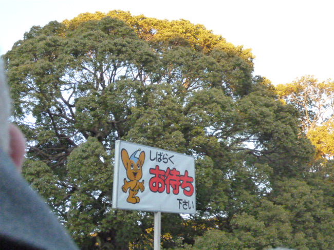 明治神宮近辺では多数の警察官が警備や誘導を担当されてました。<br /><br />「機動隊」という腕章の方も・・<br /><br />で、このようなピーポくんのマスコット付きのプラカードで参拝客を誘導です。<br /><br />裏面は「順序よくお進みください」でした。<br />