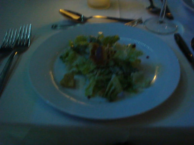 私達親子３人以外には、日本人夫婦１組、外国のカップル１組が乗ってました<br />前菜