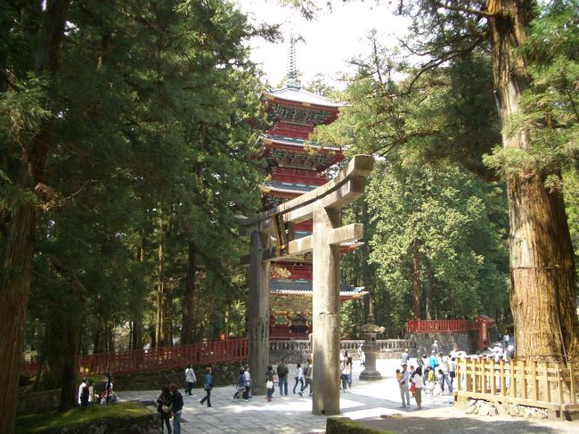 手彩色 大判古写真 日光 大日堂（明治35年9月の水害で流失）の桜