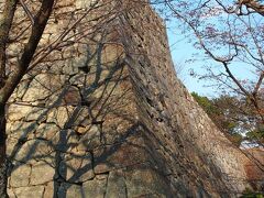 きれいな石垣の反り返り。

松阪城はその石垣の素晴らしさでも有名です。
蒲生氏郷公の出身地である近江国の「穴太衆」と呼ばれる石工集団が、「野面積み」という工法で築城したものだそうです。
（城内にいたボランティアの方に教えてもらいました）