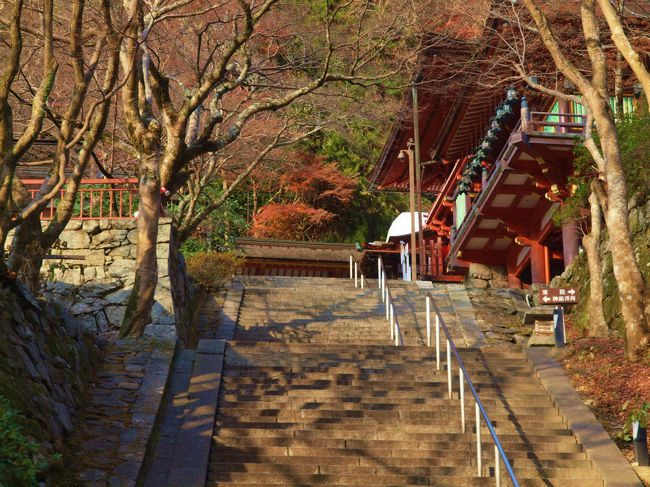 石段がつらい　我が腰痛
