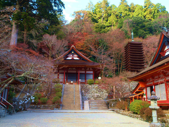 懐かしい景色<br /><br />　　平成になったころ以来<br /><br />　　　相棒には思い出深いものがあったようで<br /><br />談山神社は彼女に希望で今回の予定に組み込みました。