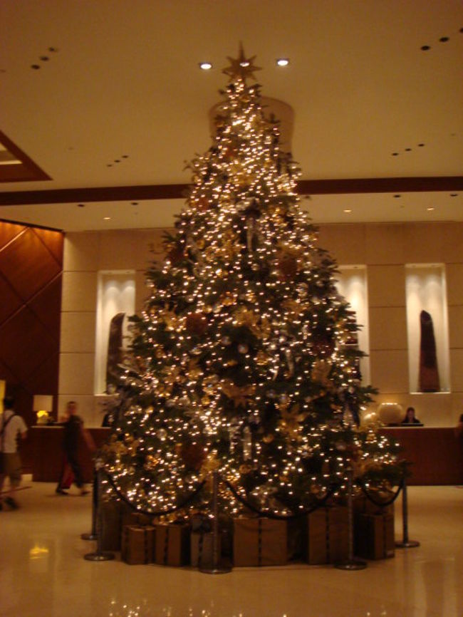 この日の集合場所のホテル　ＦＡＩＲＭＯＮＯＴ　ＨＯＴＥＬ１階ロビー<br />ナイトサファリへ<br />