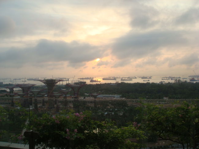 初日の出・・・・<br />めっちゃ曇ってる。。。<br />雲と雲の間から、顔を出している日の出を見てお願い事しました（笑）<br />シンガポール、最後の朝です。。。<br /><br />チェックアウトを済ませて、荷物を預けました。<br />飛行機の時間まで、ホテルで荷物預かってくれます
